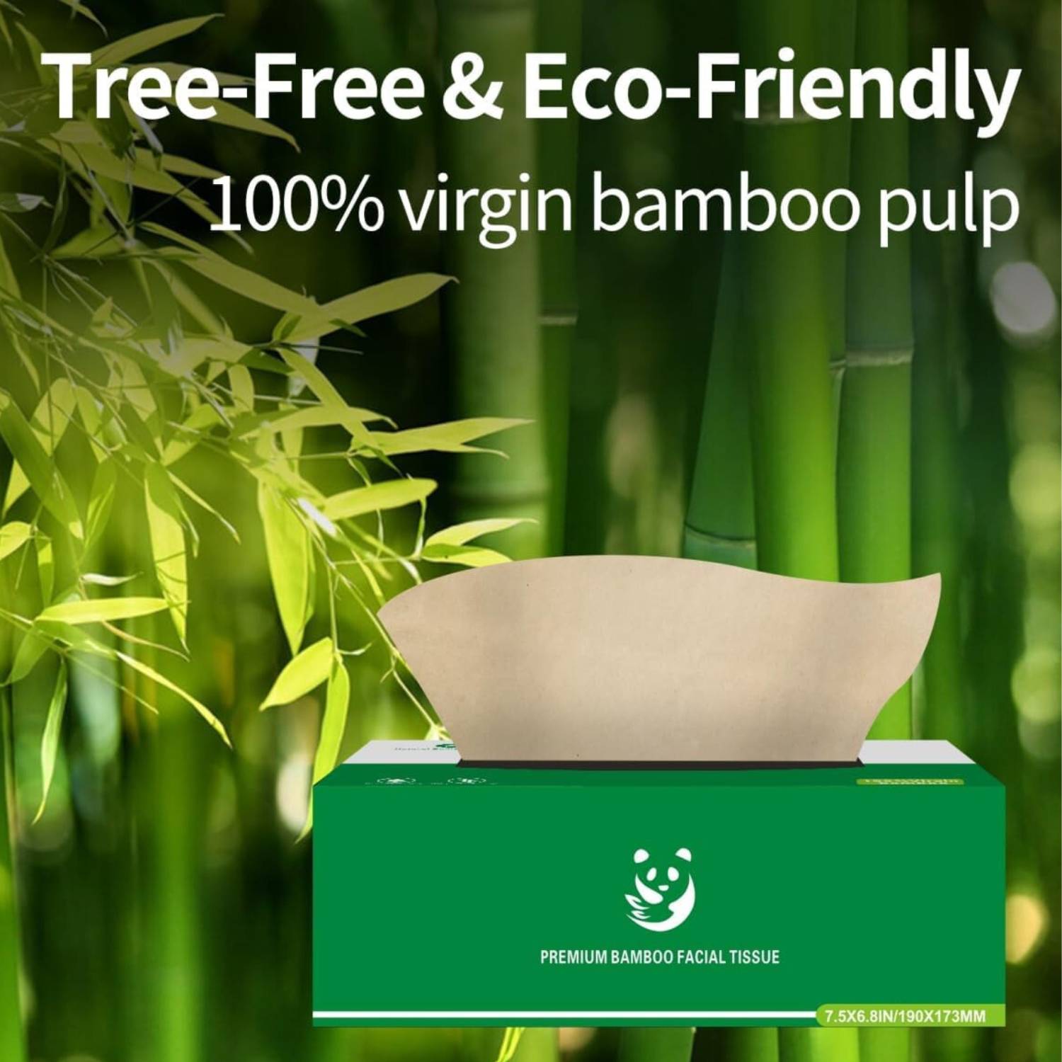 Bamboo Facial Tissues, 12 Pack: image 2